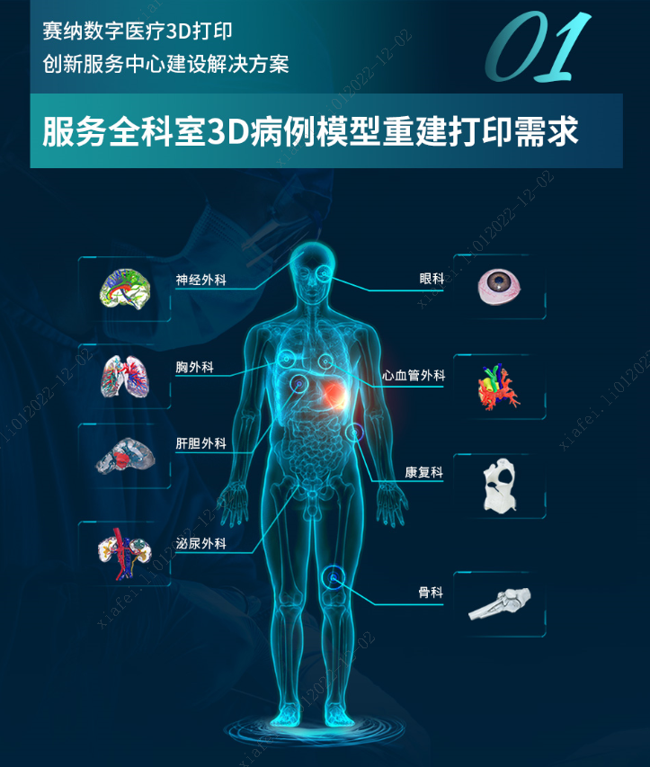 3D打印人体组织模型